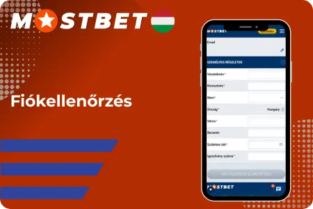 Fiókellenőrzés